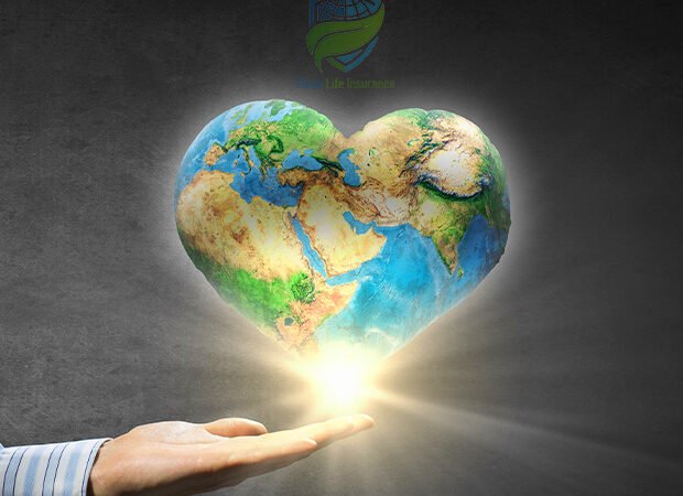 Life Insurance: Helping to Fund Reforestation and Other Conservation Efforts