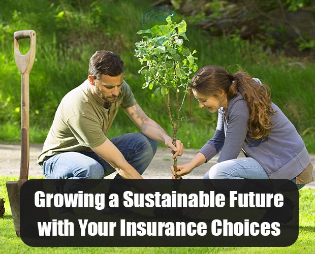 We guide through the role of insurance companies in promoting sustainability