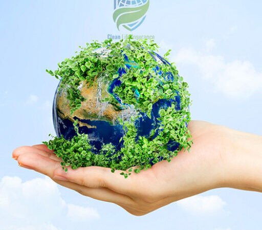 Key Differences: Eco-Friendly Life Insurance vs Traditional Policies